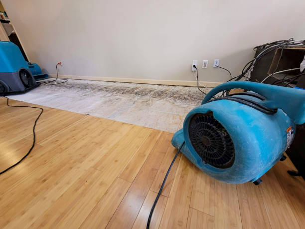 Professional Water Damage Repair technician working in Orondo, WA